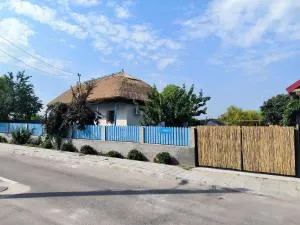 Casa lui Matei Murighiol#2 - Gorgova