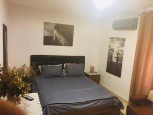 Cozzy Cottage, in center of Tirana