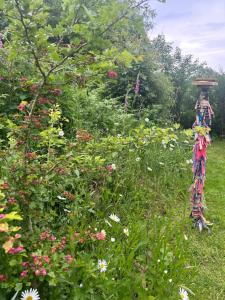 Gypsy Caravan Glamping