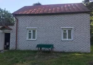 Pine trees - Soleimi