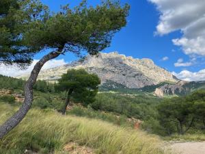 Campings Camping le Cezanne Montagne Sainte-Victoire : photos des chambres
