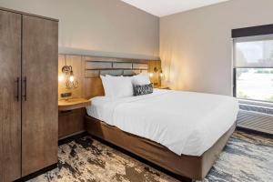King Suite with Sofa Bed room in Best Western Plus Bourbonnais Hotel & Suites