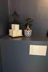 Lumineux T2 tout équipé Vichy Centre