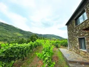 Quinta do Enxertado - Ermida