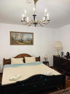 Beehive Hotel and CoWorking