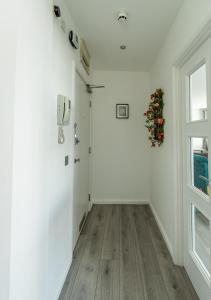 Chesterfield Apartment, City Central