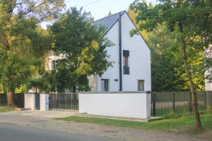 Sams - Forest & Spring