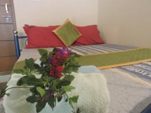 Kanna Garden by Bodhi Bungalows