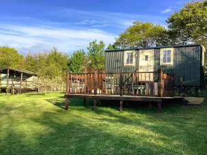 Lilly's Pad - Stratton