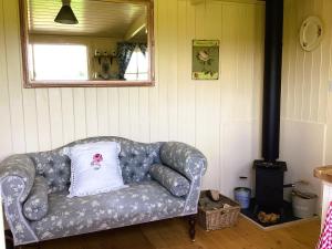 Lillys Pad