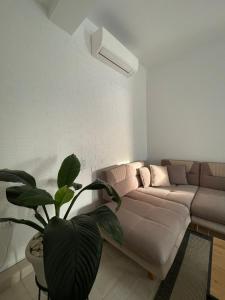 Bardhi m bay jeshile