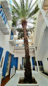 Surf House Casa Vehla