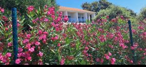 House on the beach