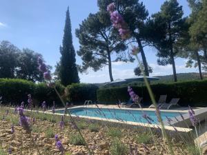 Villas Les Lauriers : photos des chambres