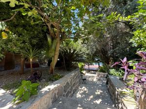 Apartments Montevibe