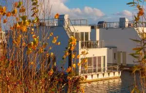 Möwennest - Hasselberg