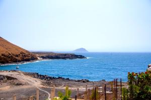 Sasha Tenerife