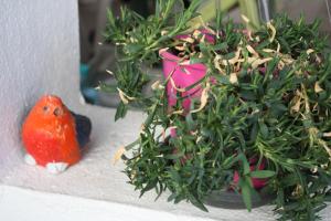 Ferienwohnung Birgit