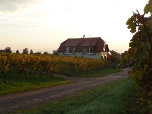 Maison d'hôtes Les Feuilles d'Or photo 12
