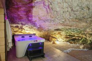 Maisons de vacances MilhaRoc, Gite insolite avec SPA : photos des chambres