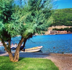 Studio apartman Zara 