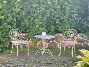 Viljandi kesklinna majake ja kodune minispa