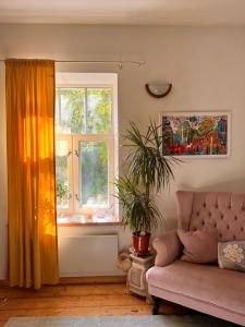 Viljandi kesklinna majake ja kodune minispa