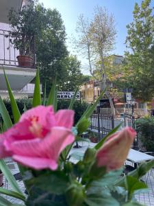 Hotel Berlino