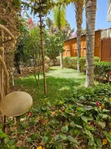 villa Essaouira paradis - Ghazoua