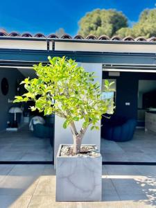 Appartement 3 ch vue mer O Fil de Leau Bandol