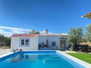 Cor de Azeitona - Aldeia do Mato