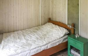 4 Bedroom Nice Home In Lyngdal