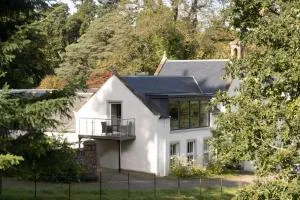 Arngomery Stables - Kippen