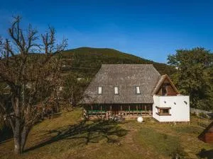 MMexperience - Strîmtura