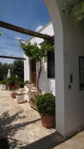 Agriturismo il Vignaletto