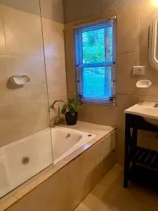 El Rincón - El Rincón