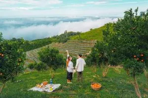 ภูแสงเทียน โฮมสเตย์ - Ban Pang Hai