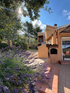 Villas Villa BELVENTO, superbe villa au calme, piscine, vue incroyable ! : photos des chambres