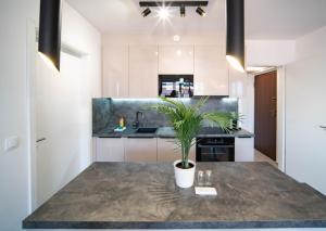 Rooftop Budapest 6ppl Free Parking