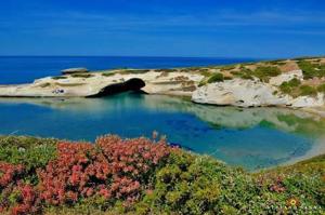 B&B Marino E Lily img7