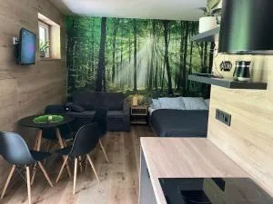 Apartmán Vrbno pod Pradědem - Ludvíkov