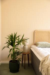 Four Seasons Old Town - Spring