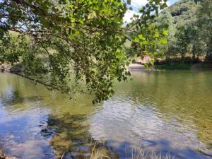 Maisons de vacances Ceps Cottage sleeps 6 with free wifi near the river : photos des chambres