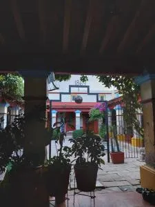 Carmenchu - Teotitlán del Valle
