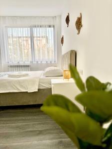 Amos Apartment-Ultracentral-Free parking