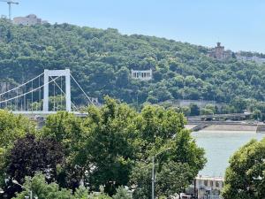 Golden Studio at Erzsebet bridge