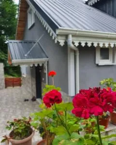 Cennet bahçesi - 卡苏斯图