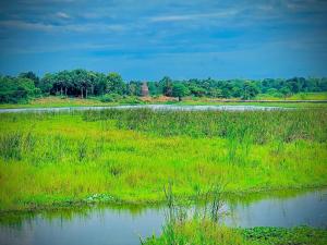 Bee and Birds Hotel - high-speed internet powered by Starlink