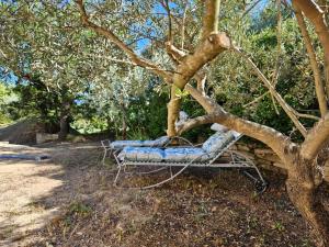 Maisons de vacances Comme un Dimanche, piscine privee avec jardin : photos des chambres