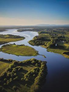 Glamping Safari Style
